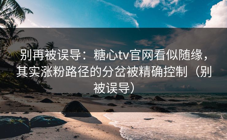 别再被误导：糖心tv官网看似随缘，其实涨粉路径的分岔被精确控制（别被误导）